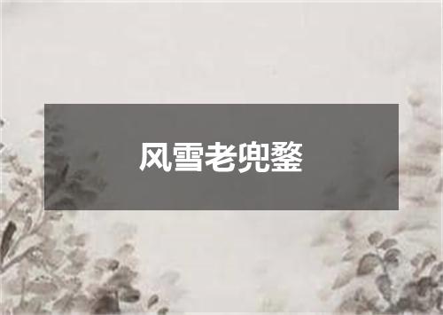 风雪老兜鍪