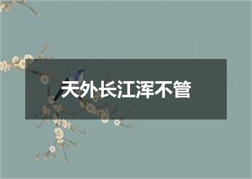 天外长江浑不管