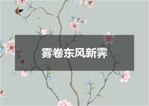 雾卷东风新霁