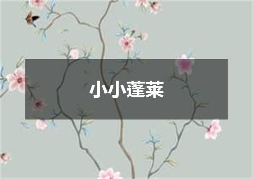 小小蓬莱