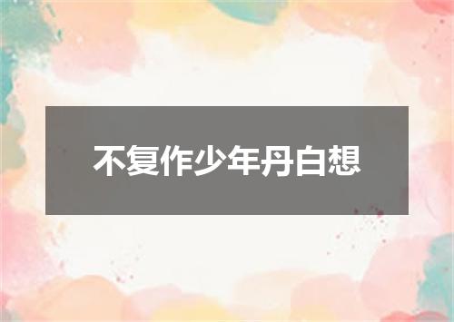 不复作少年丹白想