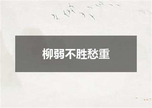 柳弱不胜愁重