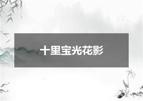十里宝光花影