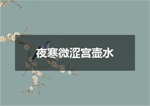 夜寒微涩宫壶水