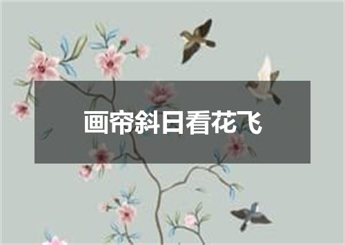 画帘斜日看花飞