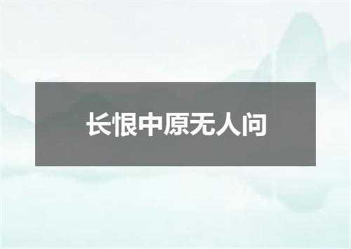 长恨中原无人问