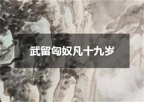 武留匈奴凡十九岁