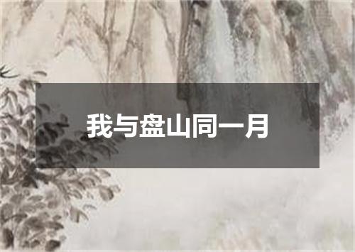 我与盘山同一月