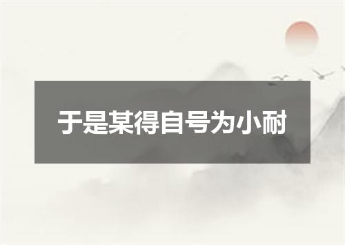 于是某得自号为小耐