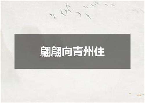 翩翩向青州住