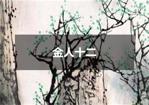 金人十二