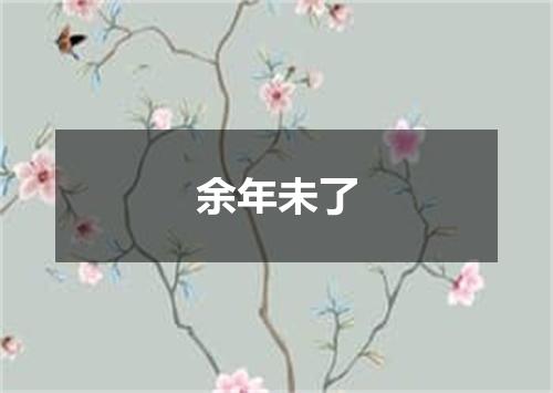 余年未了