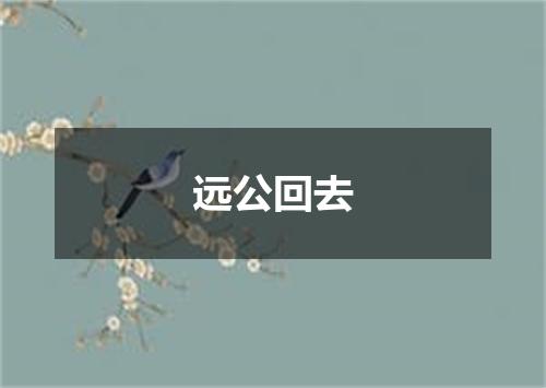 远公回去
