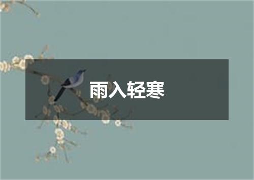 雨入轻寒