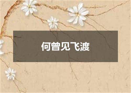 何曾见飞渡
