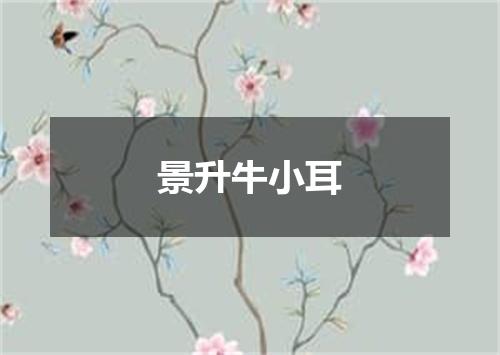 景升牛小耳
