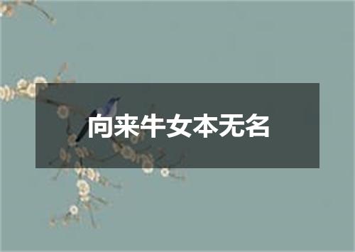 向来牛女本无名