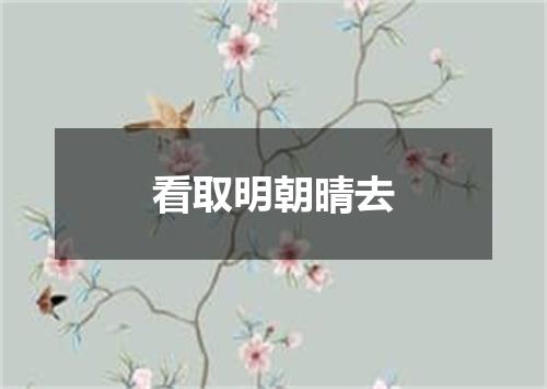 看取明朝晴去