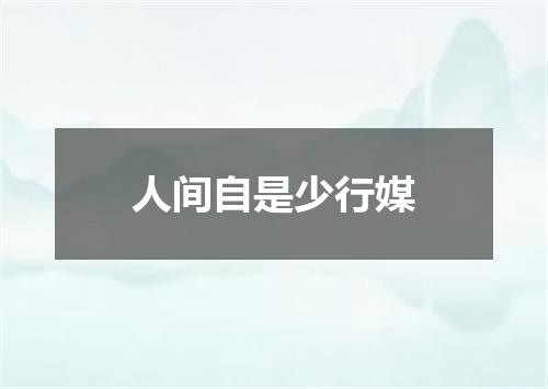 人间自是少行媒
