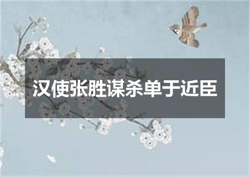 汉使张胜谋杀单于近臣