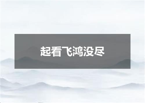 起看飞鸿没尽