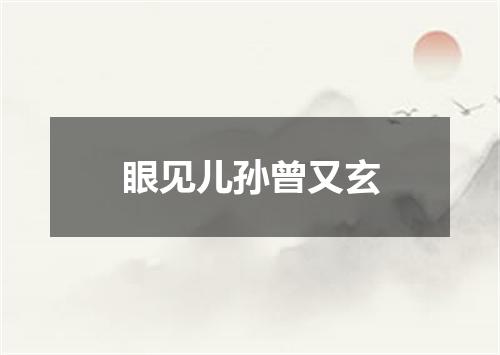 眼见儿孙曾又玄