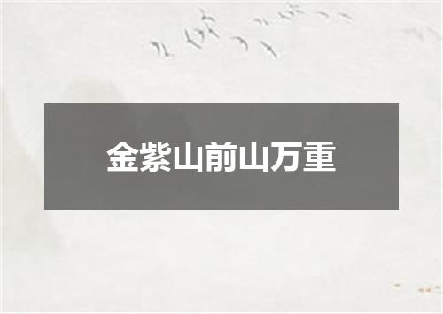 金紫山前山万重