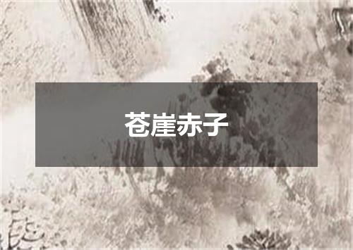 苍崖赤子