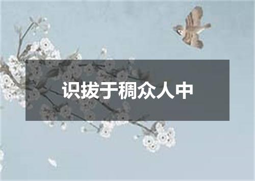 识拔于稠众人中