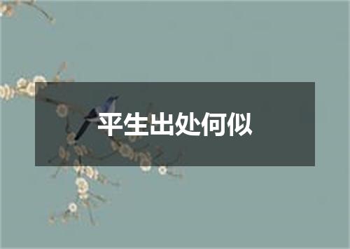 平生出处何似