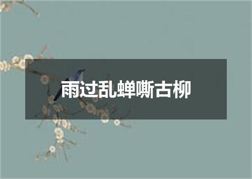雨过乱蝉嘶古柳