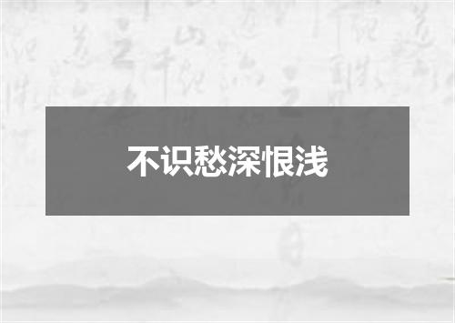不识愁深恨浅