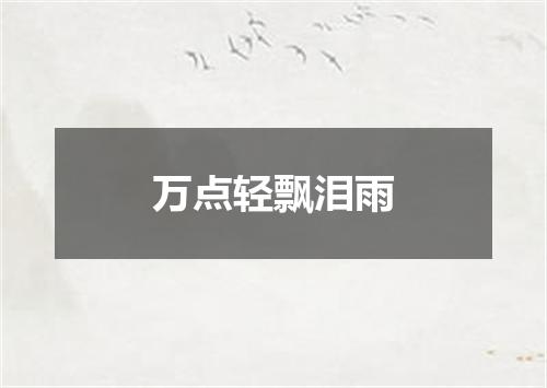 万点轻飘泪雨