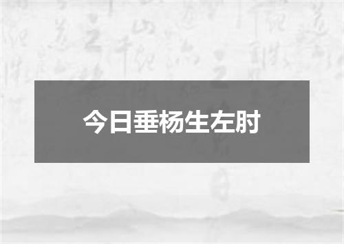 今日垂杨生左肘