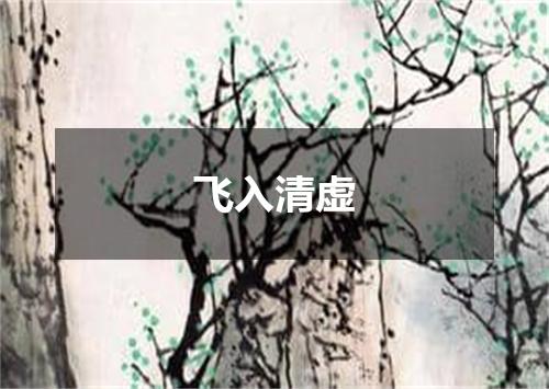 飞入清虚