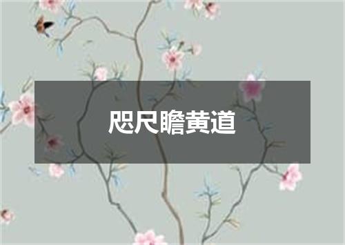 咫尺瞻黄道