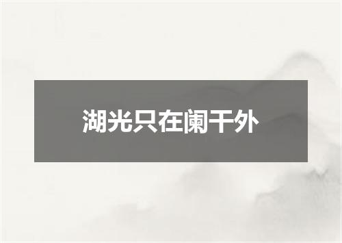 湖光只在阑干外