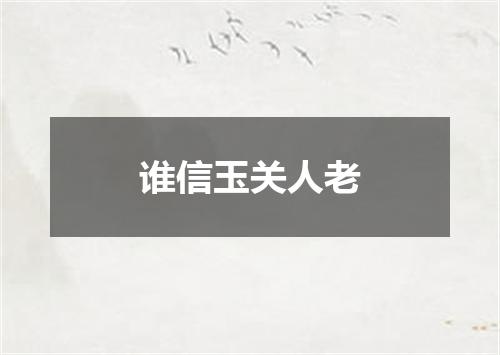 谁信玉关人老