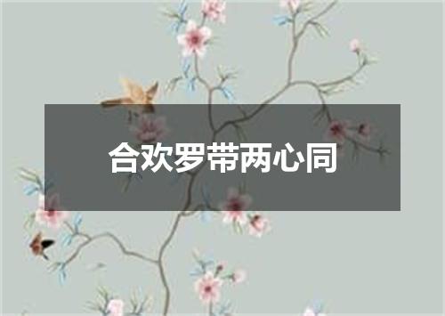 合欢罗带两心同