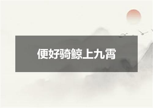 便好骑鲸上九霄