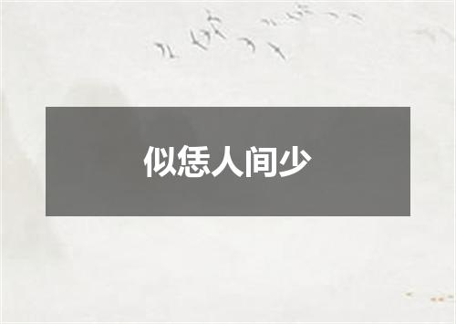 似恁人间少