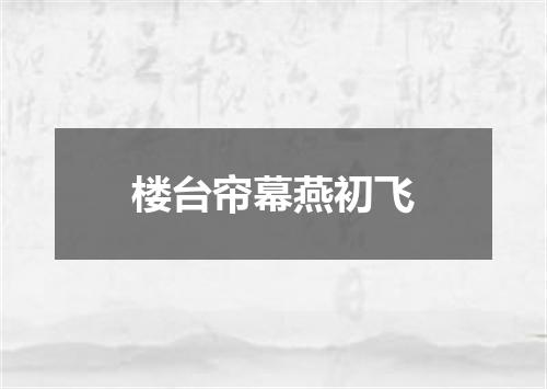 楼台帘幕燕初飞