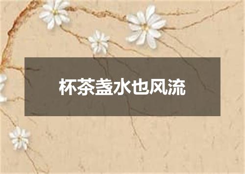 杯茶盏水也风流