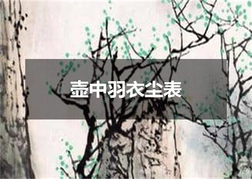 壶中羽衣尘表