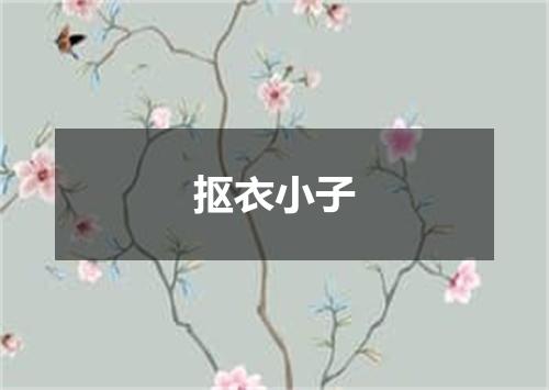 抠衣小子