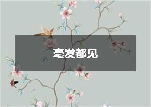 毫发都见