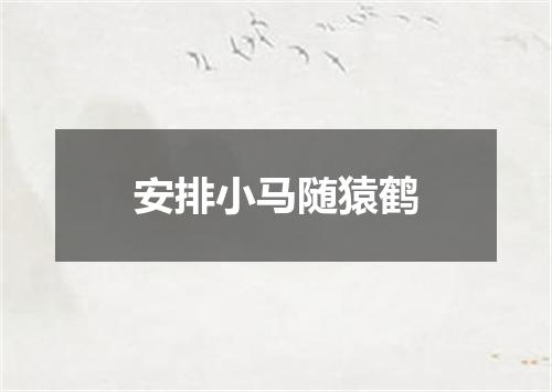 安排小马随猿鹤