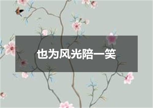 也为风光陪一笑