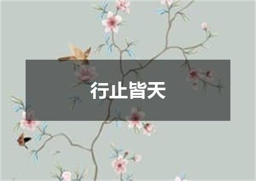 行止皆天
