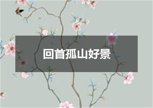 回首孤山好景